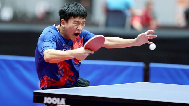 胡梅尔斯 胡梅尔斯